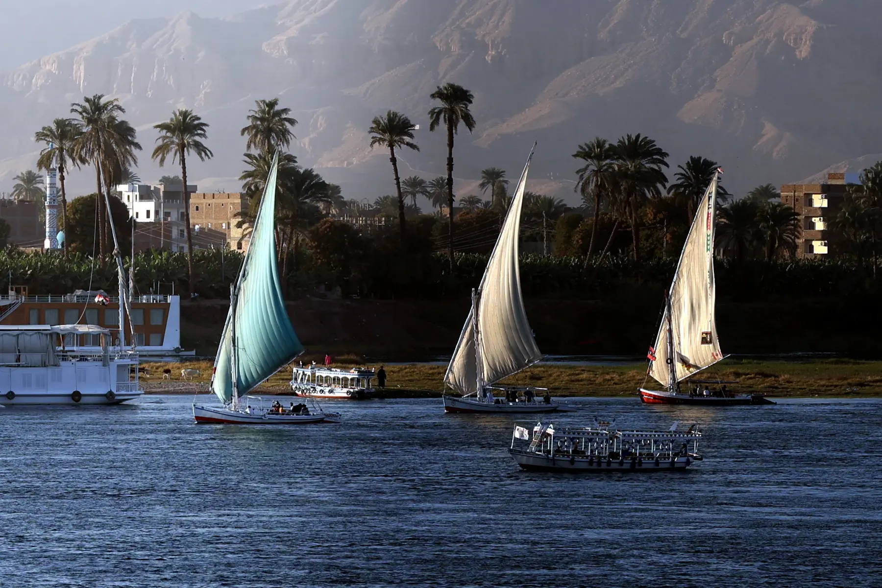 Drie felucca’s op de Nijl met palmbomen en woestijnheuvels op de achtergrond
